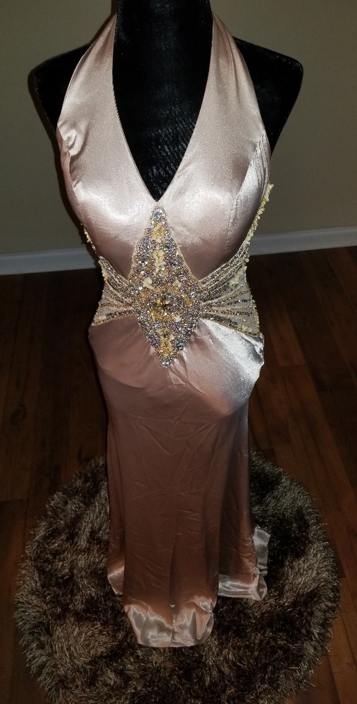 Champagne Beaded Vintage Cassandra Stone Dress - Picture 2 of 8